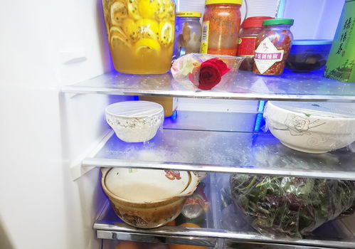 忽视家电清洁，小心室内二次污染——欣洁家提醒您关注家电清洗